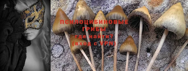 гидра Белокуриха
