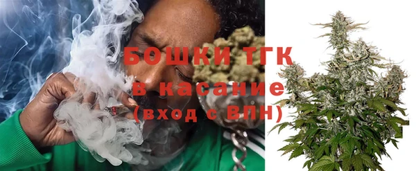 гидра Белокуриха