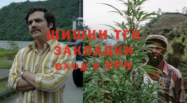 гидра Белокуриха