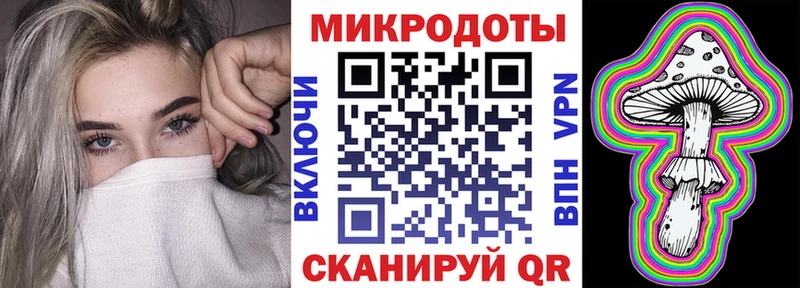 Галлюциногенные грибы Psilocybe  даркнет сайт  Дальнегорск 